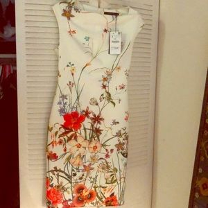 Zara spring dress